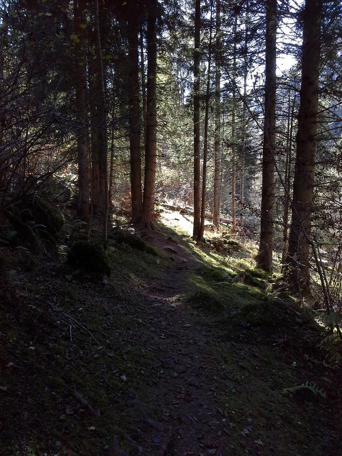 Lieu Secret Dans Les Alpes Suisses Villa Le Tretien Eksteriør billede